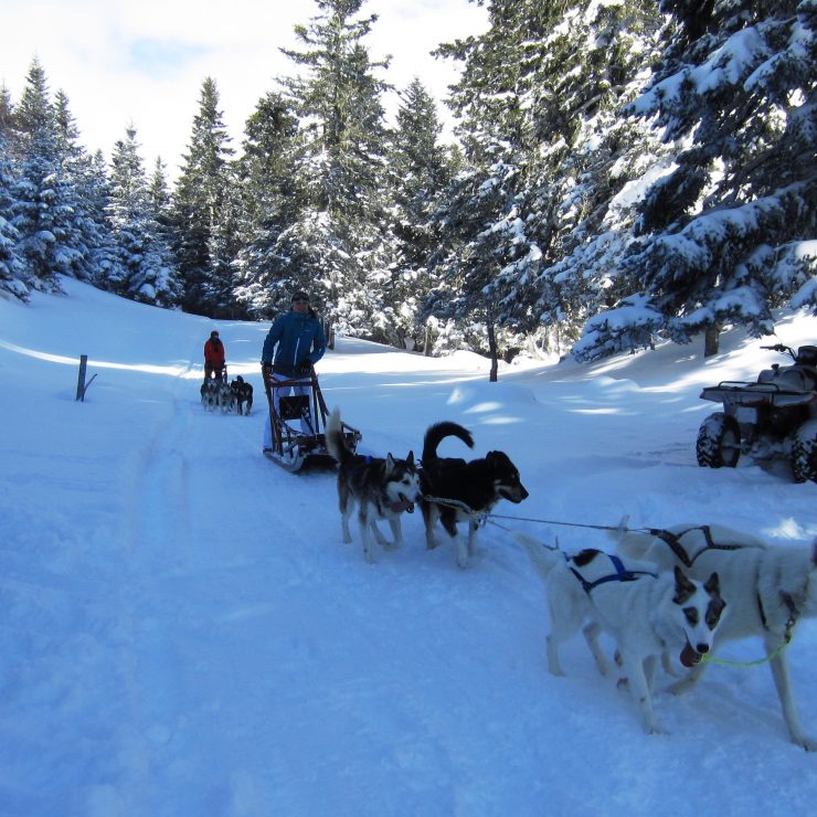 Apprentis aventuriers