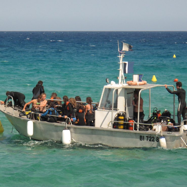 Cocktail Sportif – Corse