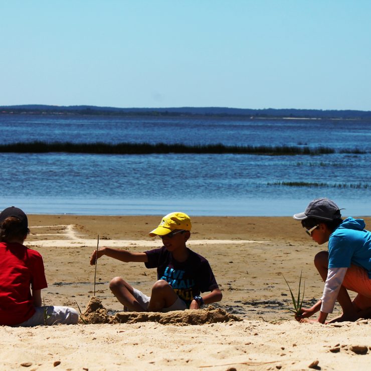 Cirque – Bassin d’Arcachon